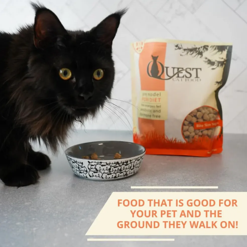 Steve's Real Food Quest Pork Recipe Freeze-Dried Cat Food (10 oz)
