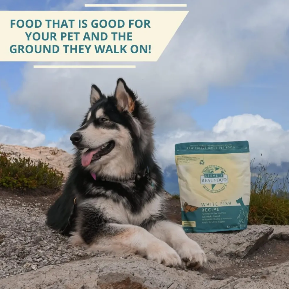 Steve's Real Food White Fish Recipe Freeze-Dried Pet Food for Cats & Dogs (1.25 lb)