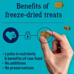 Stewart Chicken Liver Freeze-Dried Treats For Dogs