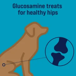 Stewart Healthy Hips Beef & Sweet Potato w/ Glucosamine Freeze-Dried Treats For Dog (4 oz)