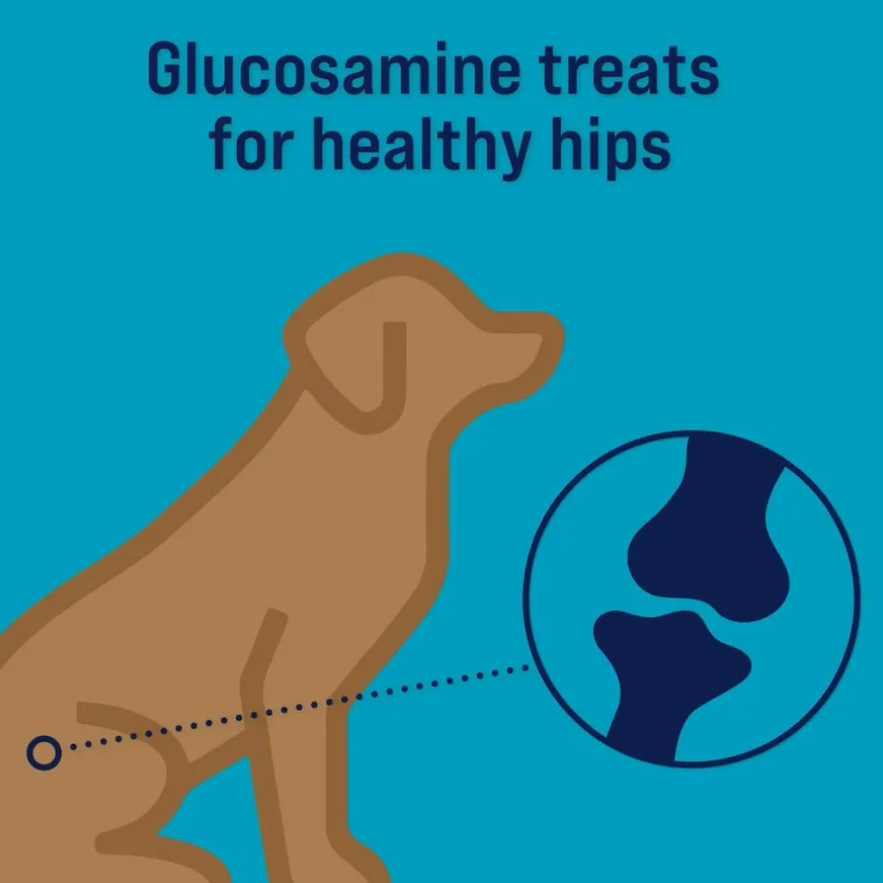 Stewart Healthy Hips Beef & Sweet Potato w/ Glucosamine Freeze-Dried Treats For Dog (4 oz)