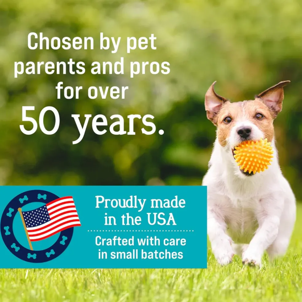 Stewart Shine Salmon & Sweet Potato w/ Omega-3 Fatty Acids Freeze-Dried Treats For Dogs (4 oz)