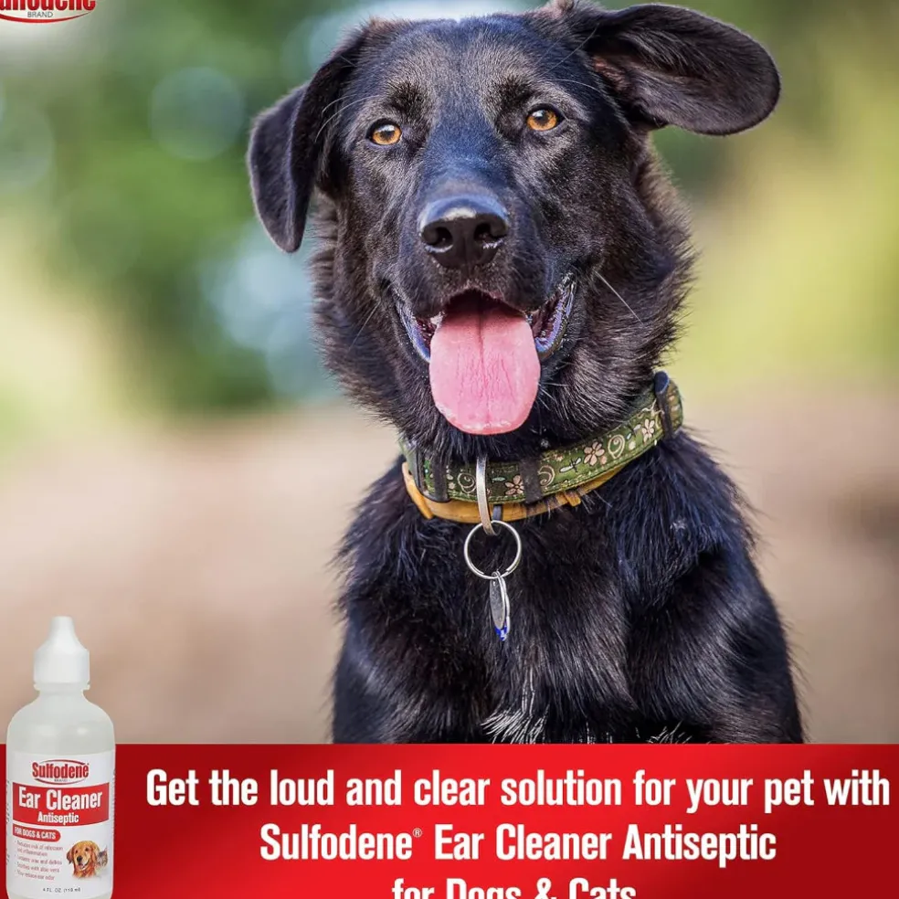 Sulfodene Ear Cleaner Antiseptic For Dogs & Cats (4 oz)