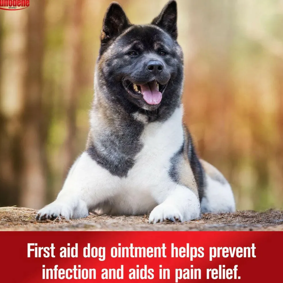 Sulfodene 3-Way Ointment for Dogs, 2-oz