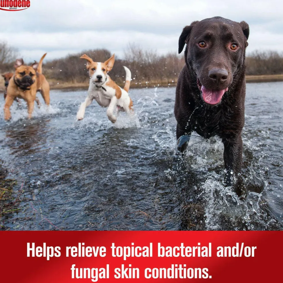 Sulfodene 3-Way Ointment for Dogs, 2-oz