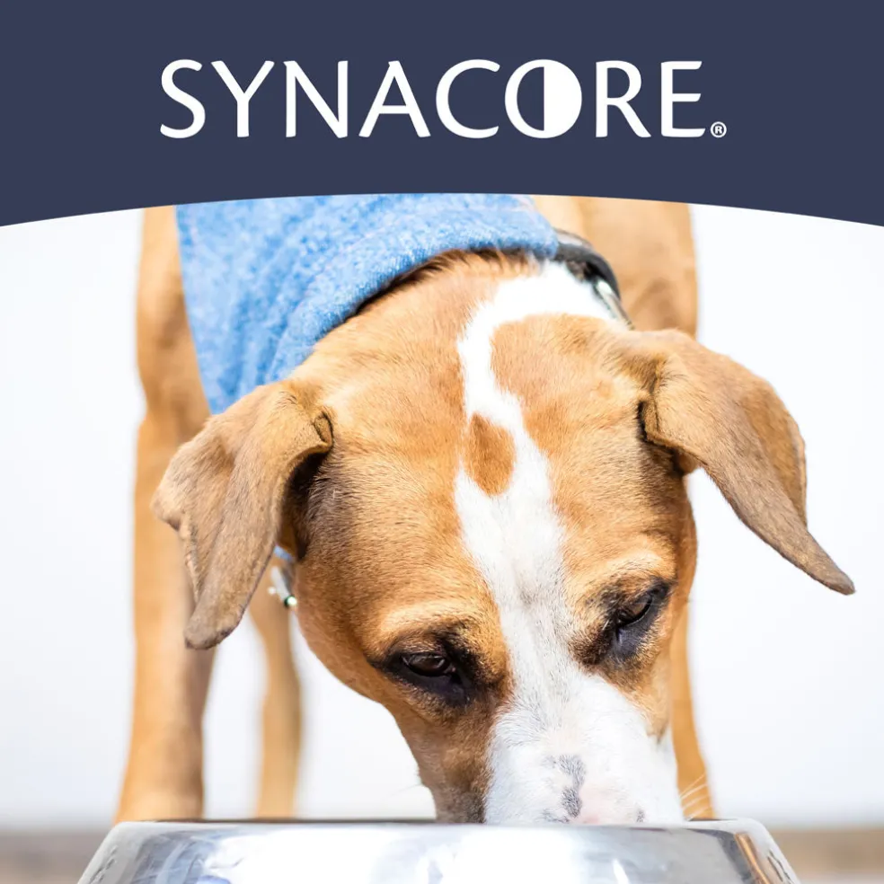 Synacore Dog - Natural Formula to Provide Immune Support for Dogs & Help MaintainDigestive Health - Probiotics and Vitamins for Dogs - Pet Products - (30 Count)