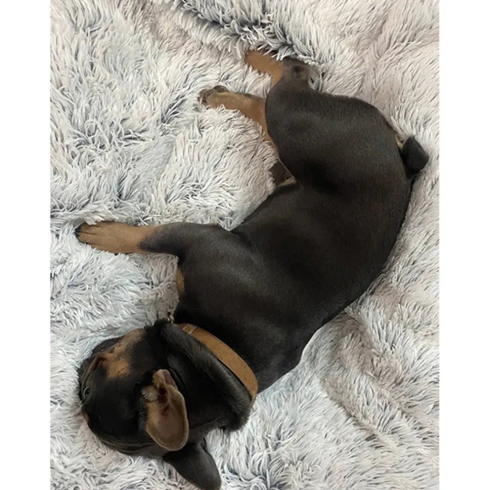 Tall Tails Dog & Cat Waterproof Blanket, 40" x 60"