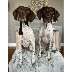 Tall Tails Dog & Cat Waterproof Blanket, 40