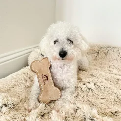 Tall Tails Natural Leather Bone Tug Toy for Dogs