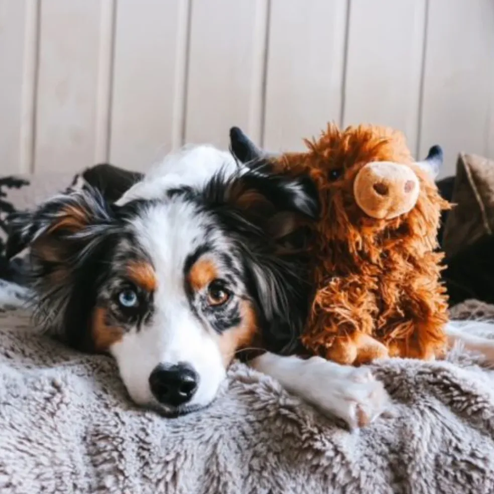 Tall Tails Plush Highland Cow Dog Toy, 8"