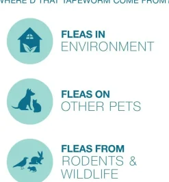 Tapeworm Dewormer for Dogs (5 Tablets)