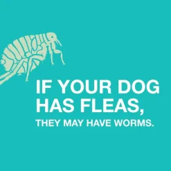 Tapeworm Dewormer for Dogs (5 Tablets)