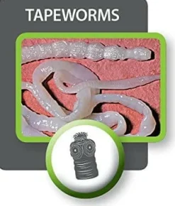 Tapeworm Dewormer for Dogs (5 Tablets)