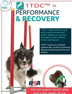 1-TDC Periodontal & Joint Health Softgels for Dogs & Cats