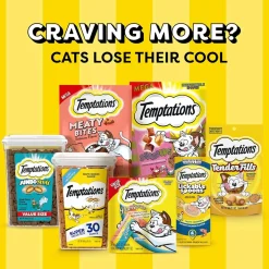 Temptations Classics Blissful Catnip Flavor Soft & Crunchy Cat Treats