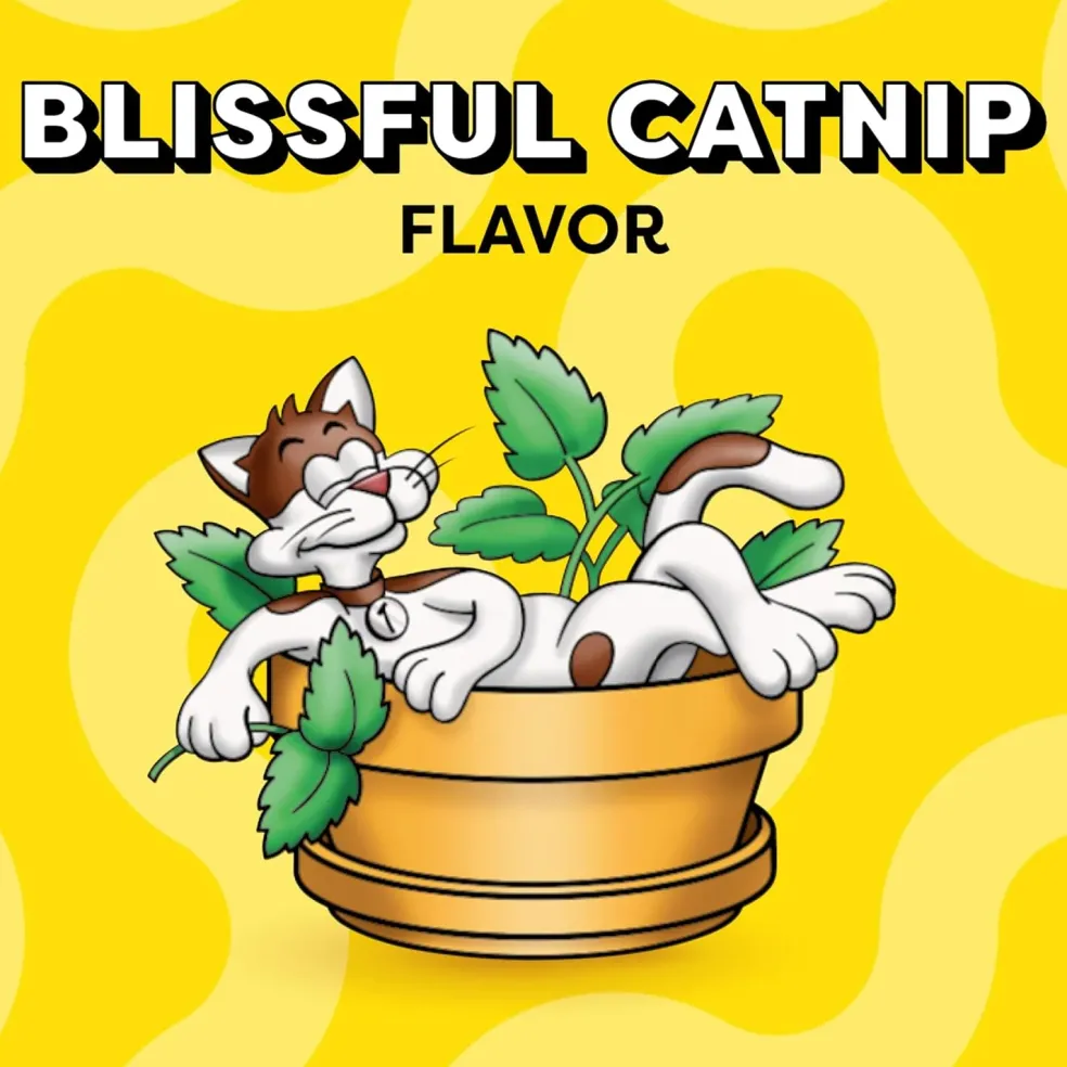 Temptations Classics Blissful Catnip Flavor Soft & Crunchy Cat Treats