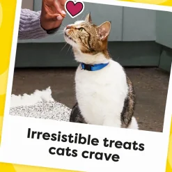 Temptations Classics Creamy Dairy Flavor Soft & Crunchy Treats for Cats