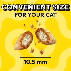 Temptations Classics Seafood Medley Flavor Soft & Crunchy Cat Treats