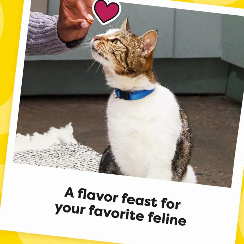 Temptations Classics Shrimpy Shrimp Flavor Soft & Crunchy Treats for Cats
