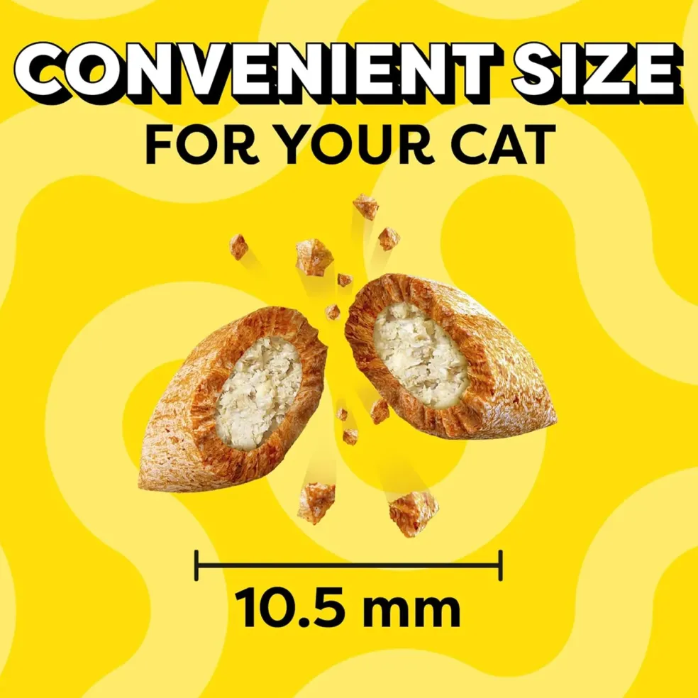 Temptations Classics Tasty Chicken Flavor Soft & Crunchy Cat Treats