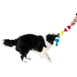 Territory Floating Tug Toy for Dogs