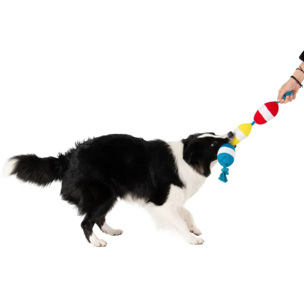 Territory Floating Tug Toy for Dogs