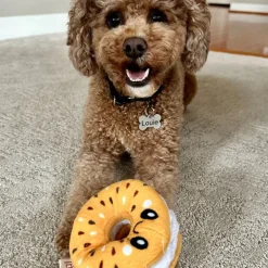 Territory Hide-A-Treat Dog Toy