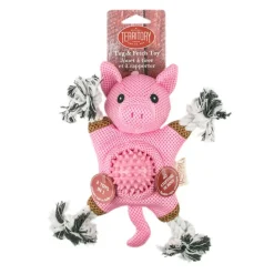 Territory 2-in-1 Fetch & Tug Dog Toy