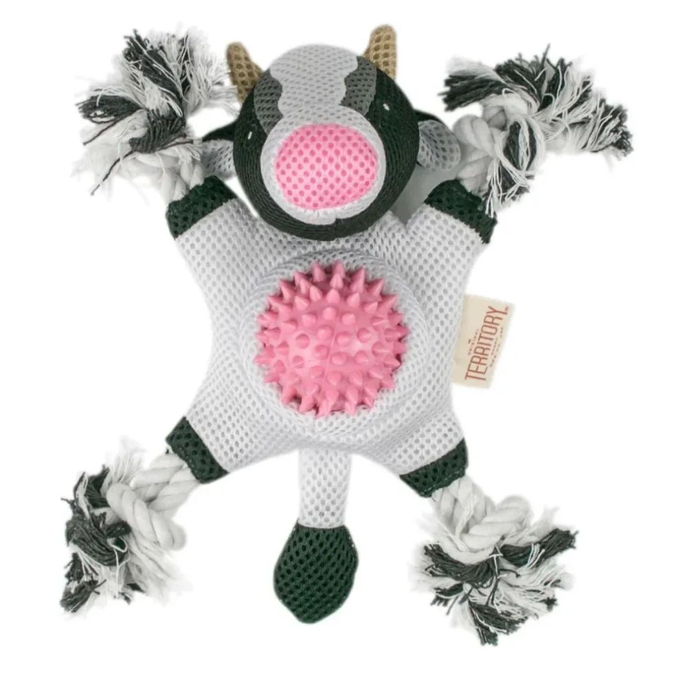 Territory 2-in-1 Fetch & Tug Dog Toy