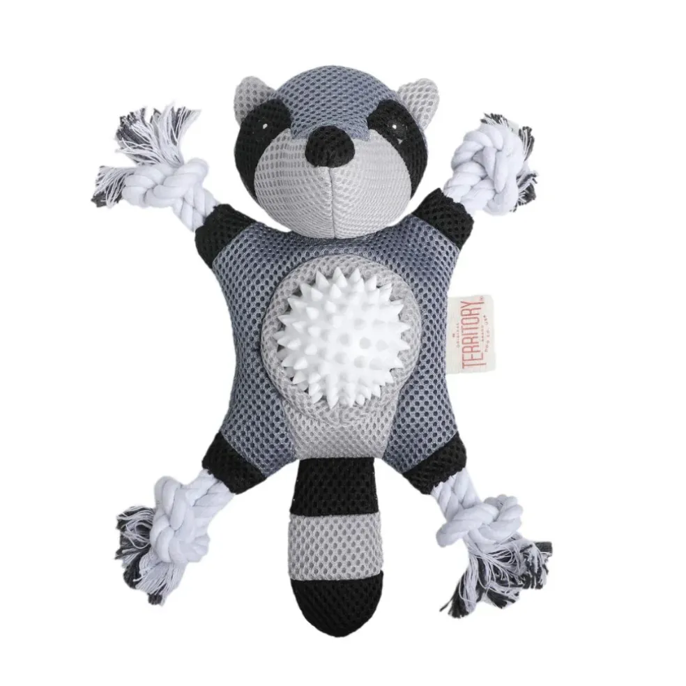 Territory 2-in-1 Fetch & Tug Dog Toy