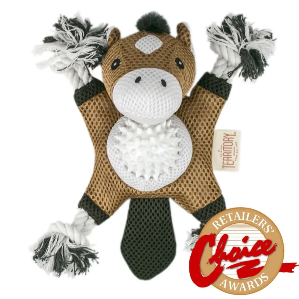 Territory 2-in-1 Fetch & Tug Dog Toy
