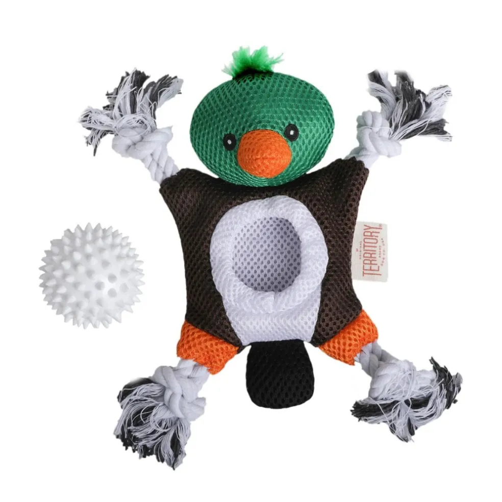 Territory 2-in-1 Fetch & Tug Dog Toy