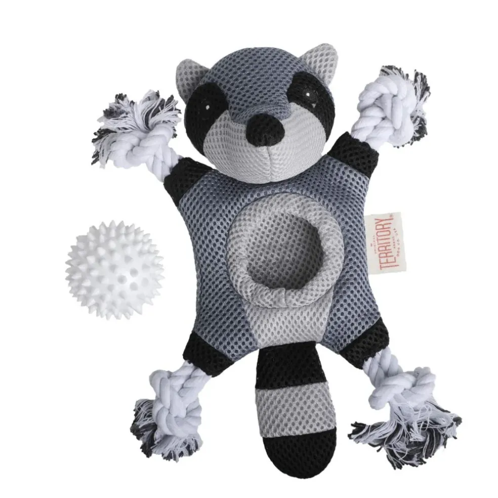 Territory 2-in-1 Fetch & Tug Dog Toy