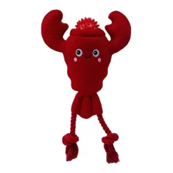 Territory 2-in-1 Floating Dog Toy
