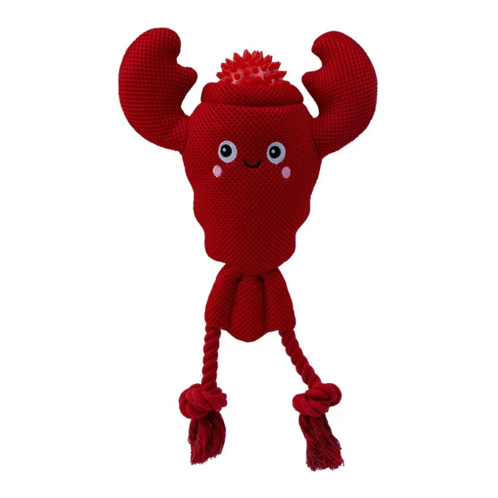 Territory 2-in-1 Floating Dog Toy