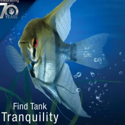 Tetra AquaSafe Plus Water Conditioner