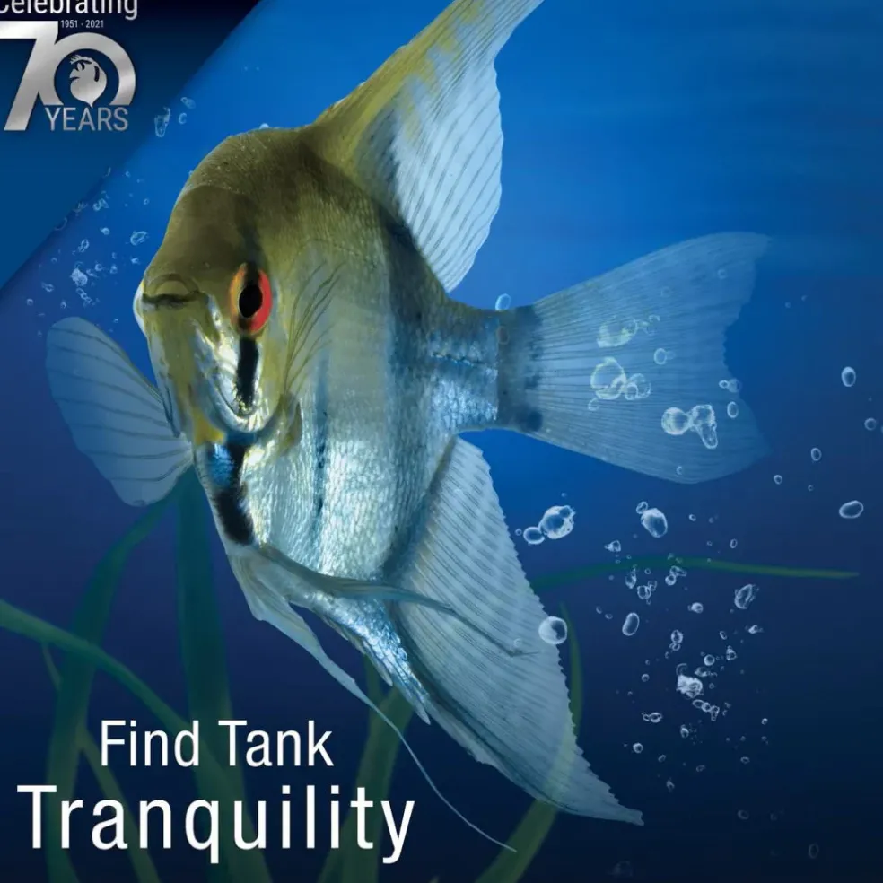 Tetra PRO PlecoWafers Complete Diet for Algae Eaters