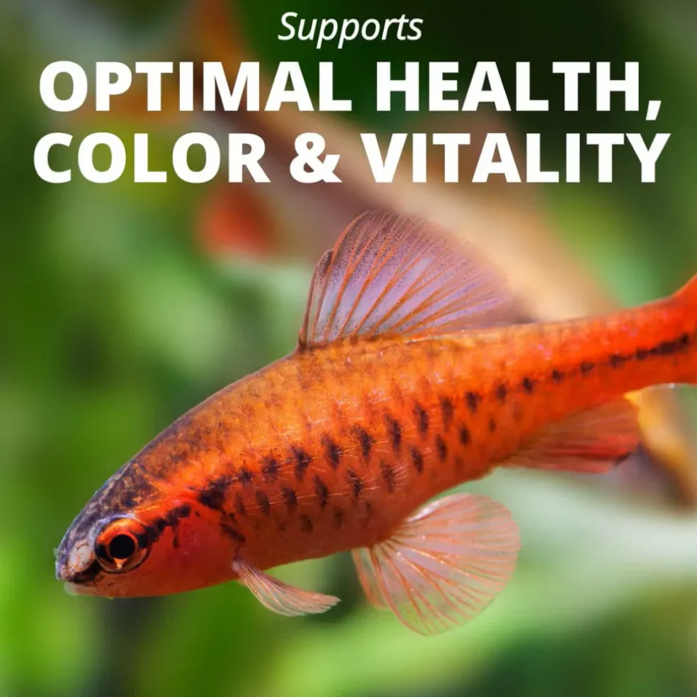 Tetra TetraMin Tropical Flakes Fish Food