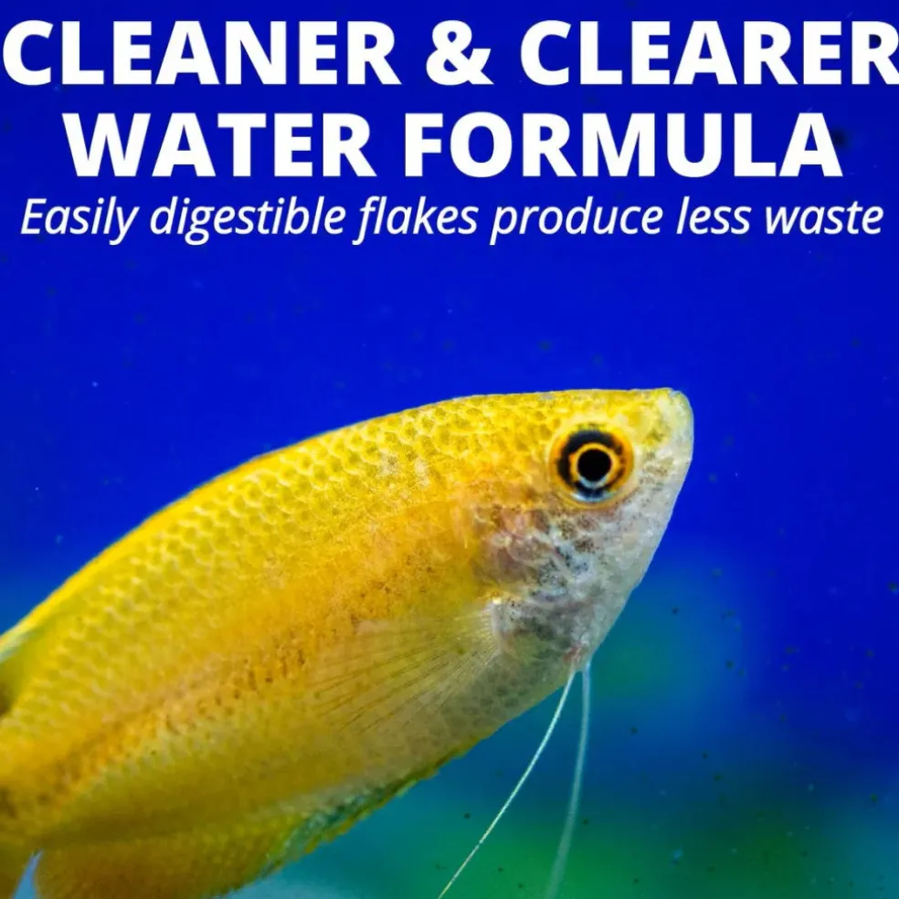 Tetra TetraMin Tropical Flakes Fish Food