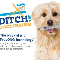 TevraPet Vetality Brush Free Oral Gel for Dogs, Chicken Flavor, 25g
