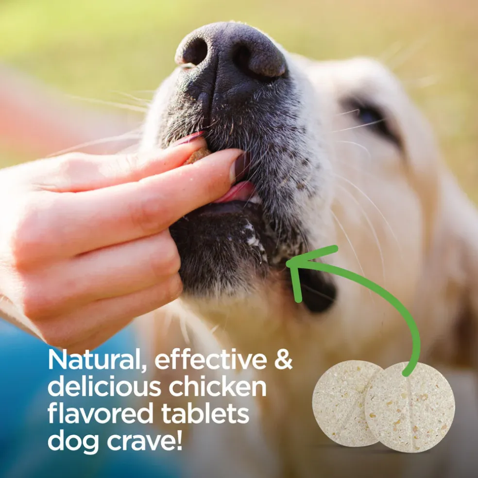 TevraPet Vetality Naturals Oral Flea & Tick Chews for Dogs, Chicken Flavor, 120 count