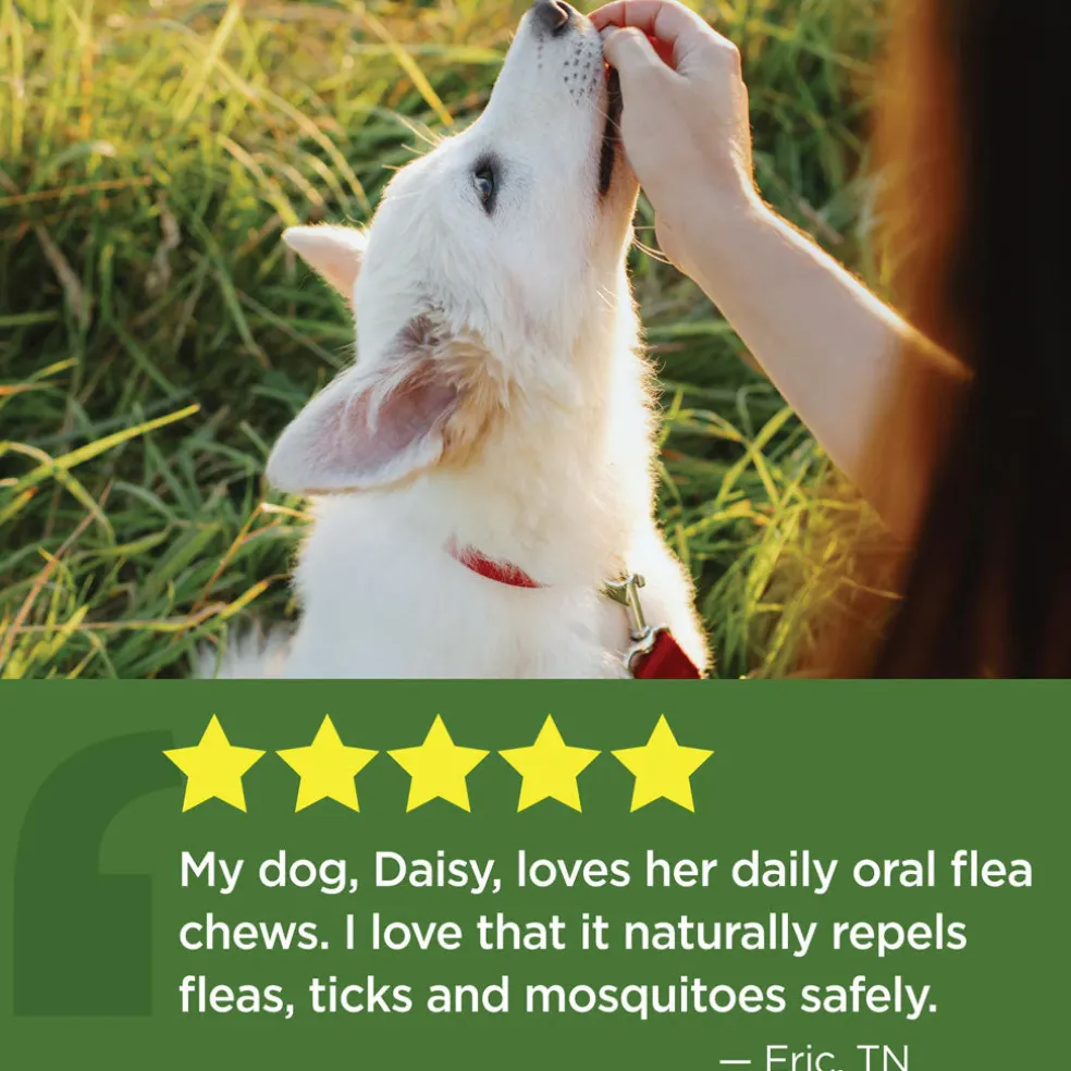 TevraPet Vetality Naturals Oral Flea & Tick Chews for Dogs, Chicken Flavor, 120 count
