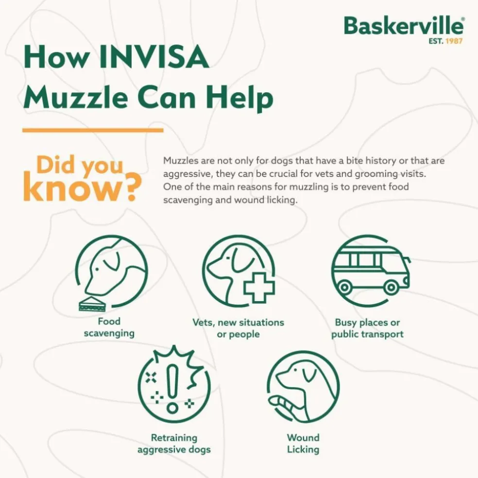 The Company of Animals Baskerville Invisa Muzzle