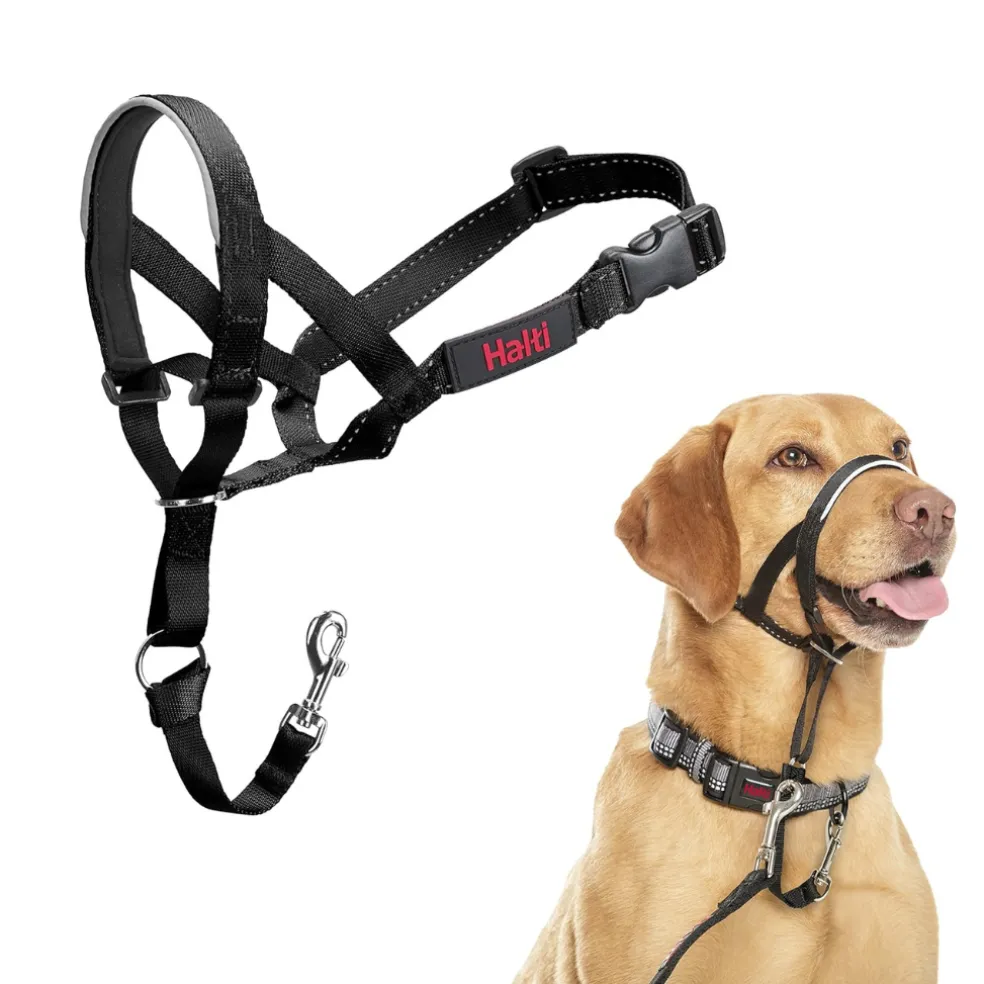 The Company of Animals Halti Head Collar For Dogs