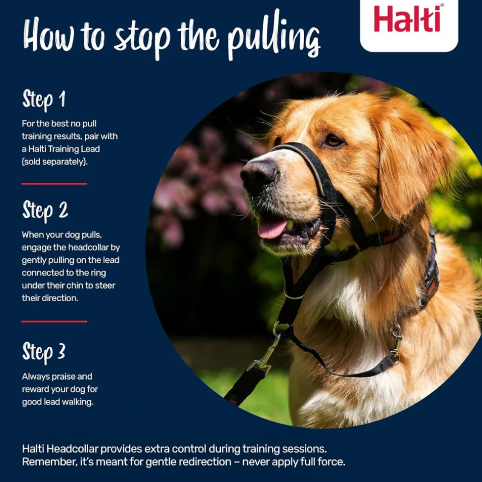 The Company of Animals Halti Head Collar For Dogs