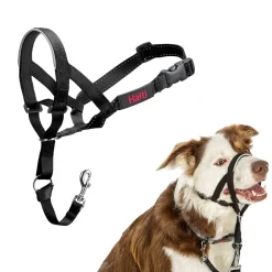 The Company of Animals Halti Head Collar For Dogs