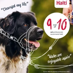 The Company of Animals Halti Head Collar For Dogs