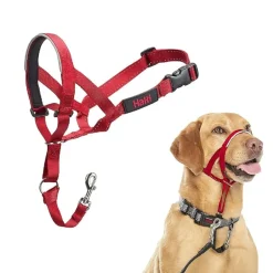 The Company of Animals Halti Head Collar For Dogs