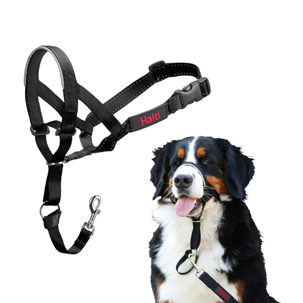 The Company of Animals Halti Head Collar For Dogs