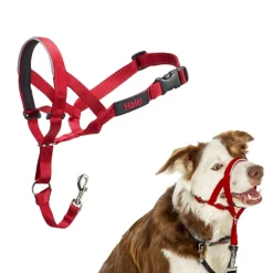 The Company of Animals Halti Head Collar For Dogs